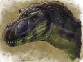 c_1234355557639_gorgosaurus_by_Onikaizer.jpg